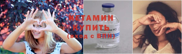 прущие грибы Пересвет
