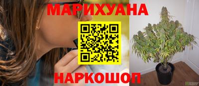 каннабис Михайловка