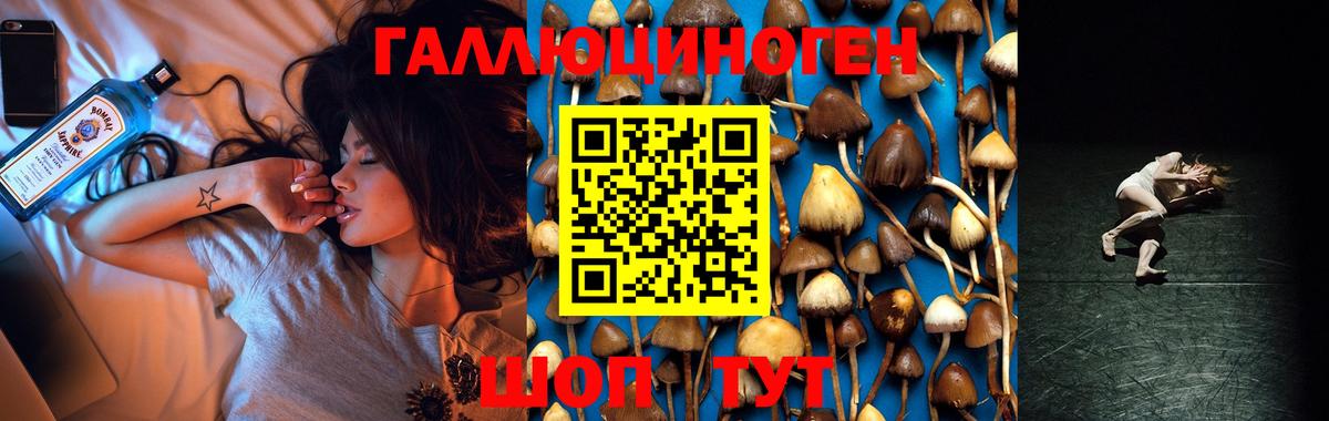 Галлюциногенные грибы GOLDEN TEACHER Абинск
